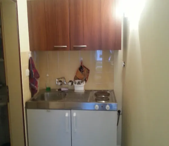 Neptun Guest house *