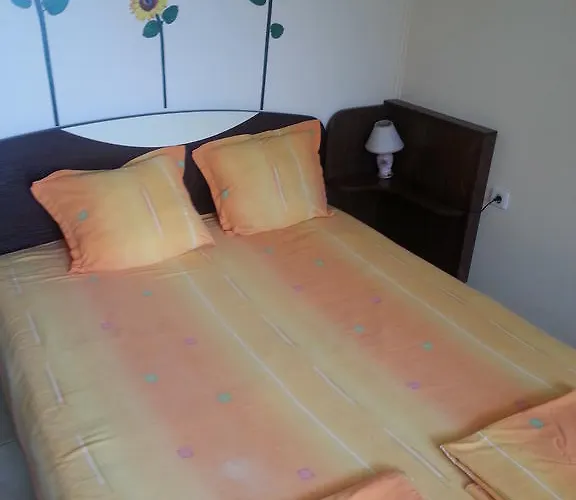 Neptun Guest house *